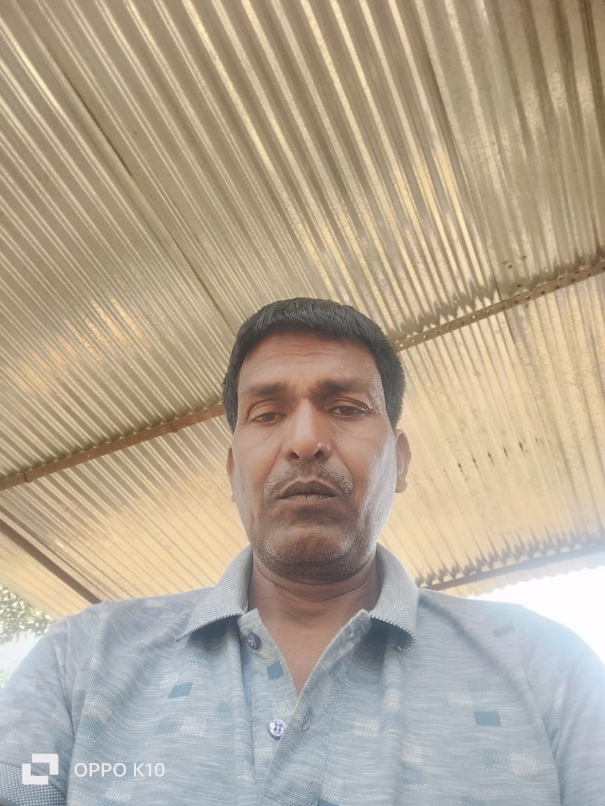  डांडेकुईयां गांव के पास गिरा पेड़।