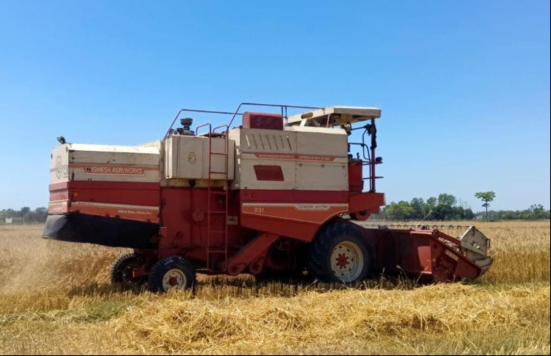  डांडेकुईयां गांव के पास गिरा पेड़।