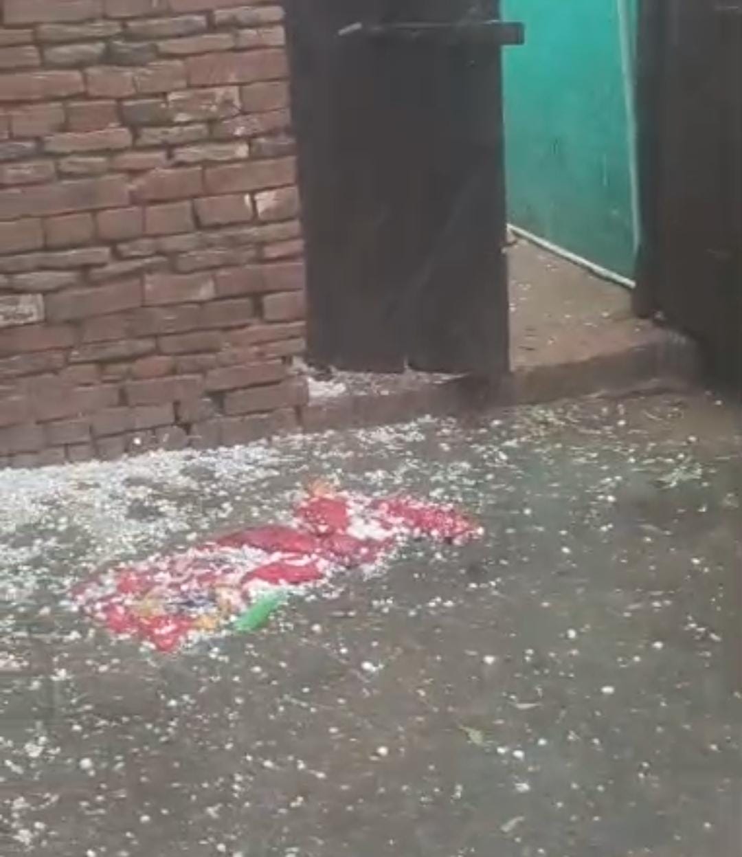 फोटो-4- अजीतमल में खेत में कटी पड़ी फसल को सुखाने के लिए उलटफेर करता किसान। संवाद फोटो-4- अजीतमल में खेत में कटी पड़ी फसल को सुखाने के लिए उलटफेर करता किसान। संवाद