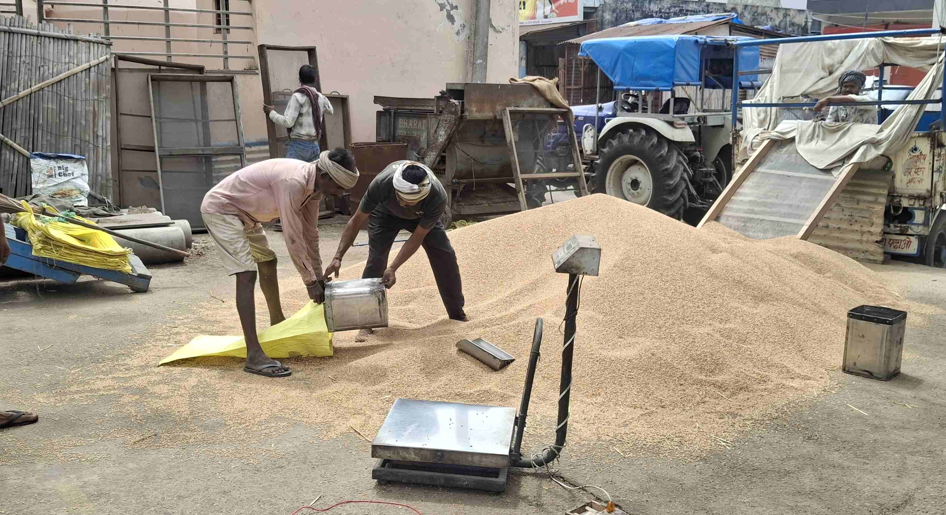 -फोटो 81 : फसल में नमी की जांच कराता किसान। संवाद