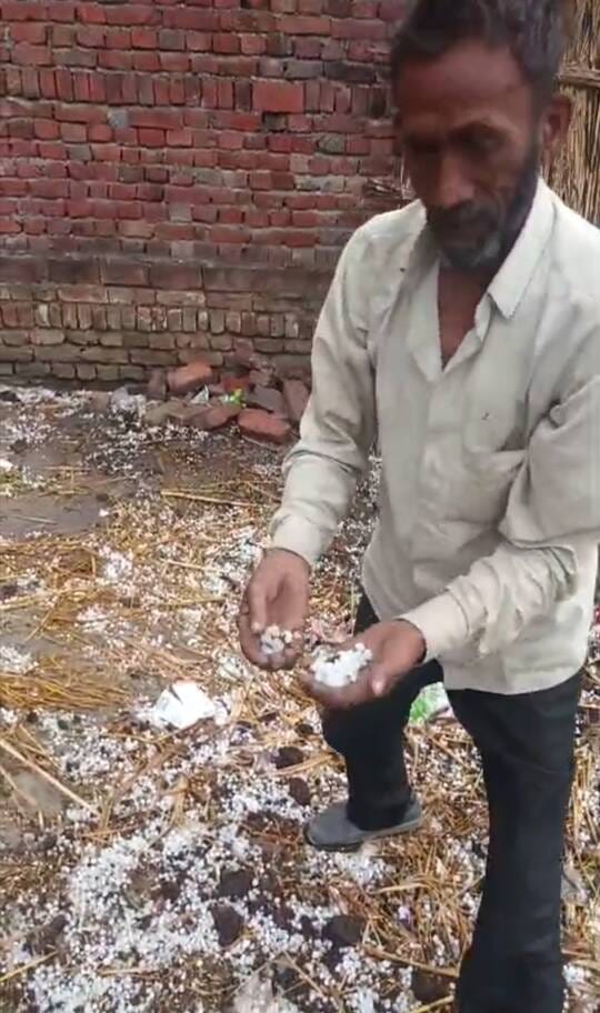 भोपा। ओलावृष्टि की चपेट में आई खेत में कटी पड़ी गेहूं और सरसों की फसल। स्रोत किसान