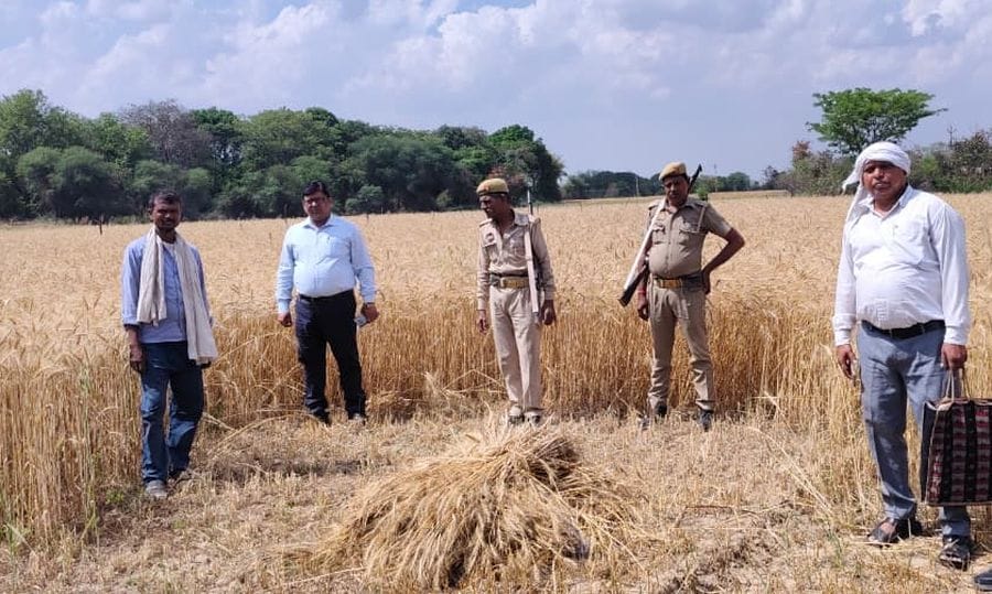 फोटो 05 एमएएचपी 11 परिचय-शनिवार की रात पड़ोरा गांव में गिरे ओले दिखाता ग्रामीण। संवाद