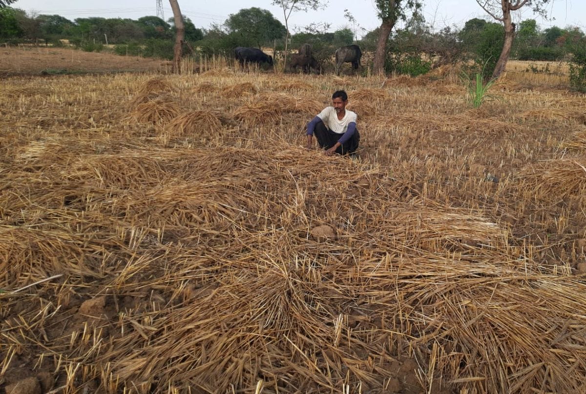 फोटो 05 एमएएचपी 11 परिचय-शनिवार की रात पड़ोरा गांव में गिरे ओले दिखाता ग्रामीण। संवाद