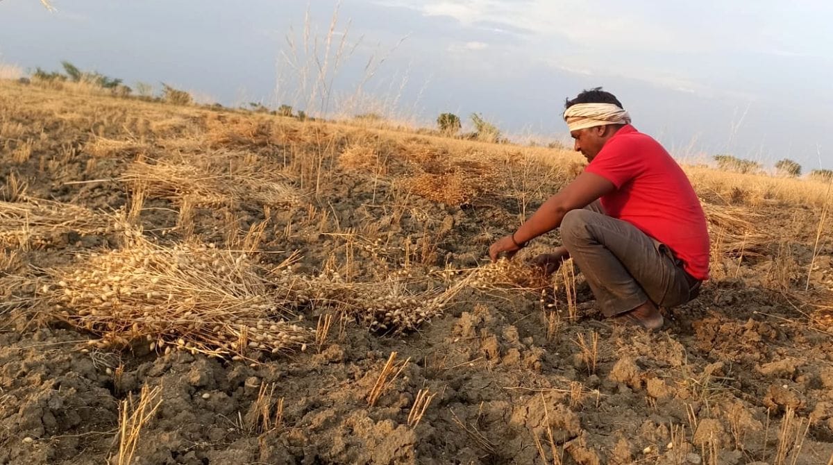 फोटो 05 एमएएचपी 11 परिचय-शनिवार की रात पड़ोरा गांव में गिरे ओले दिखाता ग्रामीण। संवाद