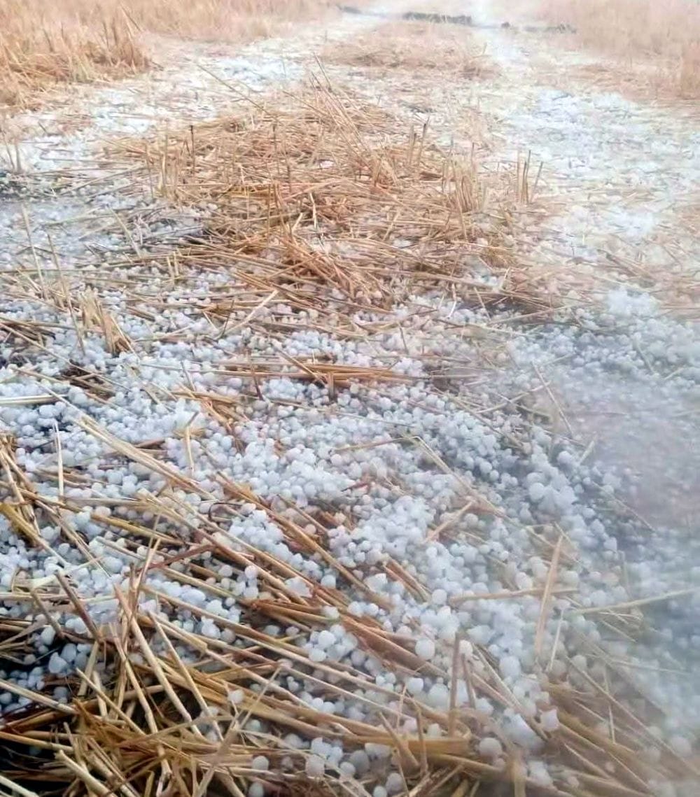 फोटो 05 एमएएचपी 11 परिचय-शनिवार की रात पड़ोरा गांव में गिरे ओले दिखाता ग्रामीण। संवाद