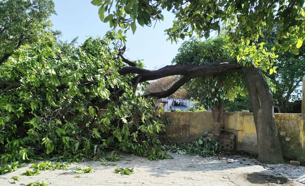 फोटो-10-खेत में कटी पड़ी गेहूं की फसल में भरा पानी। संवाद फोटो-10-खेत में कटी पड़ी गेहूं की फसल में भरा पानी। संवाद