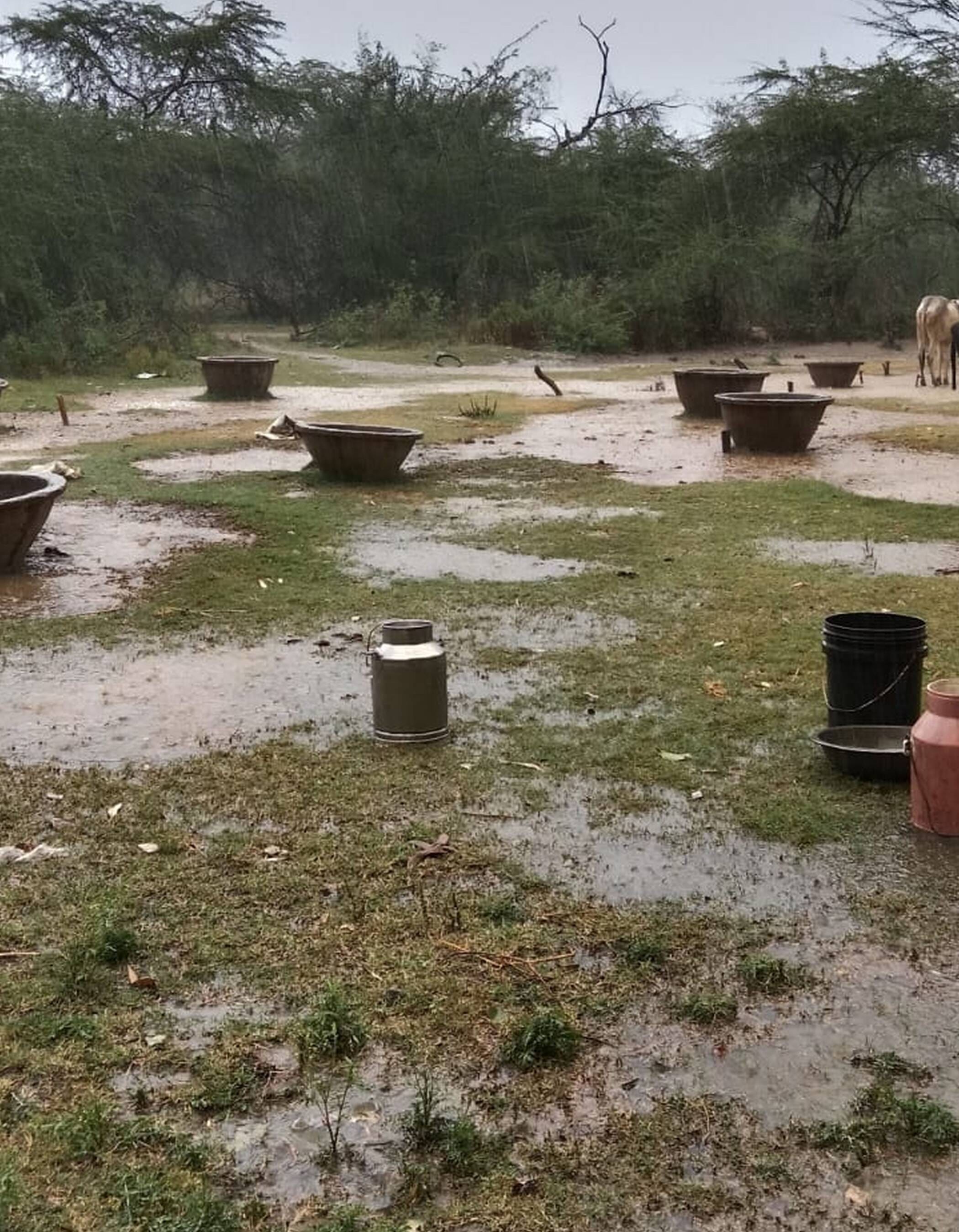 फोटो-10-खेत में कटी पड़ी गेहूं की फसल में भरा पानी। संवाद फोटो-10-खेत में कटी पड़ी गेहूं की फसल में भरा पानी। संवाद