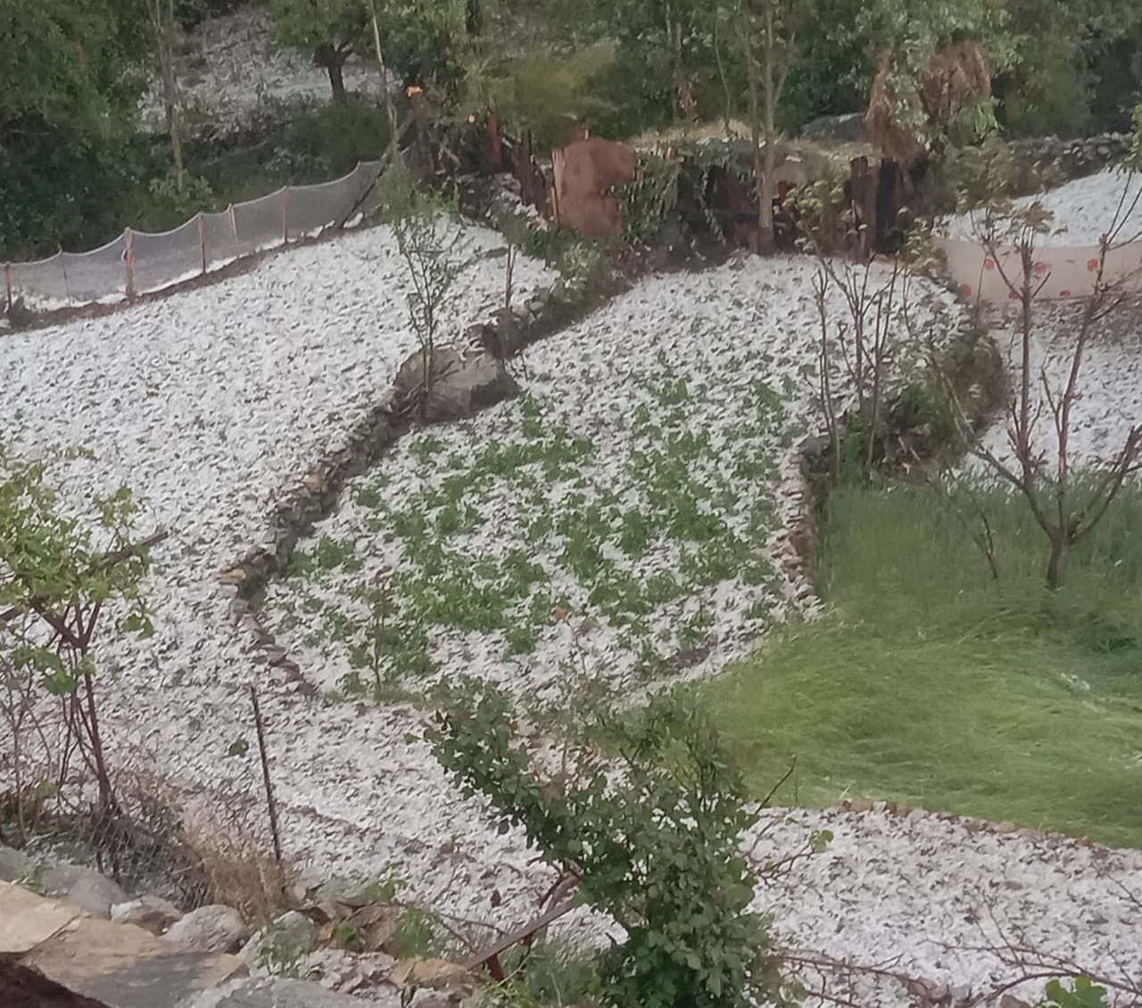 औली में हुई बर्फबारी का लुत्फ उठाते पर्यटक। स्रोत: जागरुक पाठक 