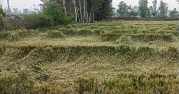 शहर के एक चौराहे पर लगे खंभे पर बिजली लाइन सही करता कर्मचारी। स्रोत विभाग। शहर के एक चौराहे पर लगे खंभे पर बिजली लाइन सही करता कर्मचारी। स्रोत विभाग।