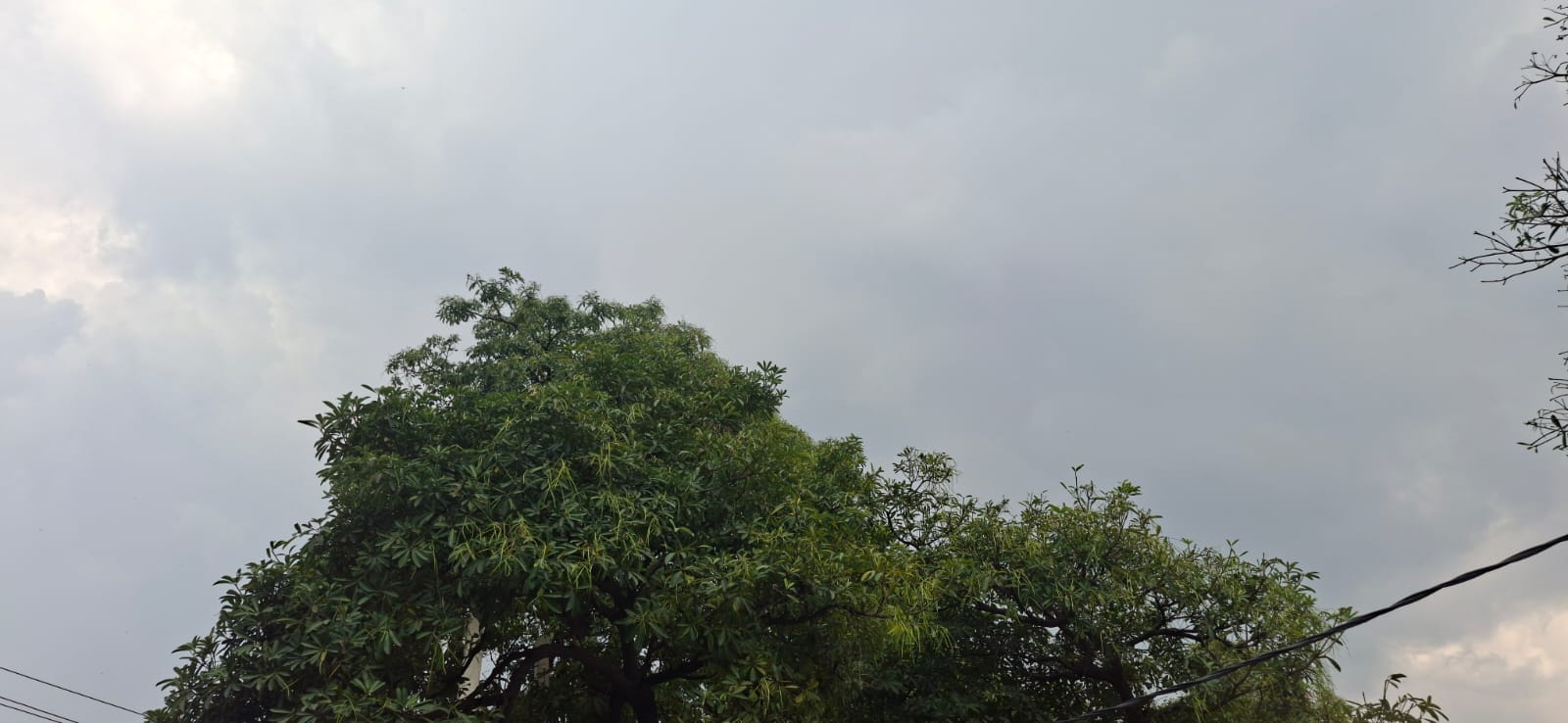 दोपहर में धूप न होने पर मॉडल टाउन में दिखाई दी लोगों की भीड़। संवाद दोपहर में धूप न होने पर मॉडल टाउन में दिखाई दी लोगों की भीड़। संवाद