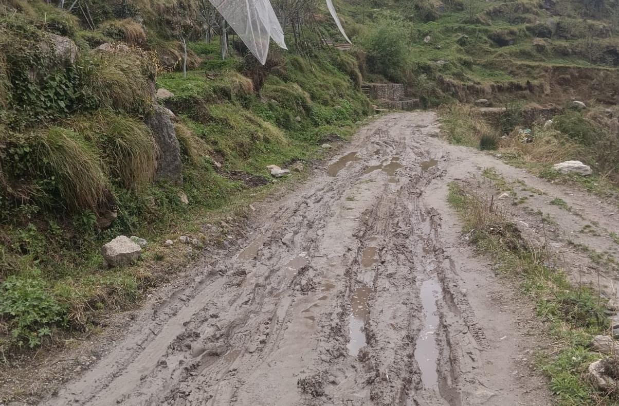 15.10 करोड़ से सुधरेगी शील-जुआगी सडक़ की खस्ताहालत। संवाद