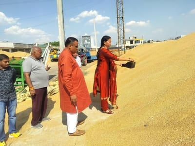 30-नई अनाज मंडी में गेहूं की सफाई करता मजदूर। संवाद 30-नई अनाज मंडी में गेहूं की सफाई करता मजदूर। संवाद