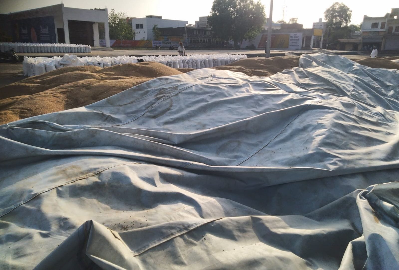 फोटो संख्या:67- बूंदाबांदी के दौरान सतनाली अनाज मंडी में तिरपाल से ढ़की गेंहू की ढ़ेरियां-संवाद