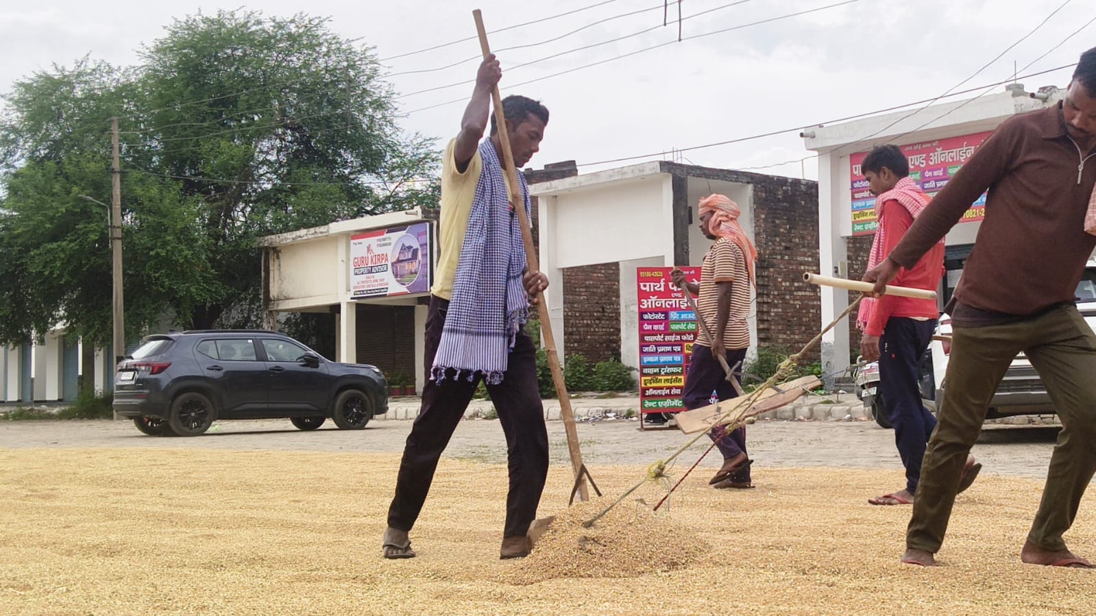 जगाधरी अनाज मंडी में कांटे पर तौलाई के लिए खड़ी ट्राली। संवाद