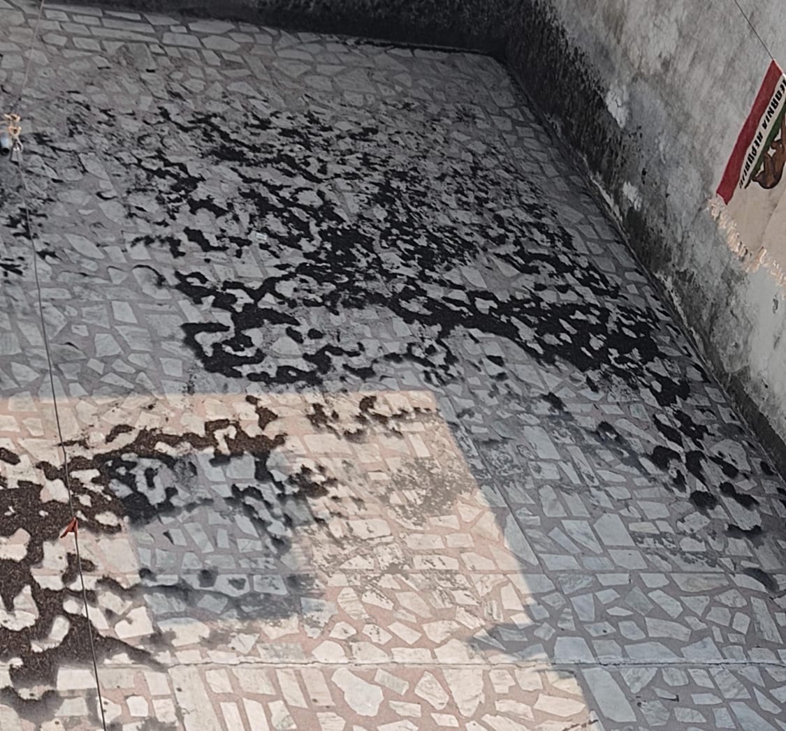 मेरी आवाज सुनो ----  शामली रेल पार  में घर की छत पर पड़ी मिल की छाई । संवाद