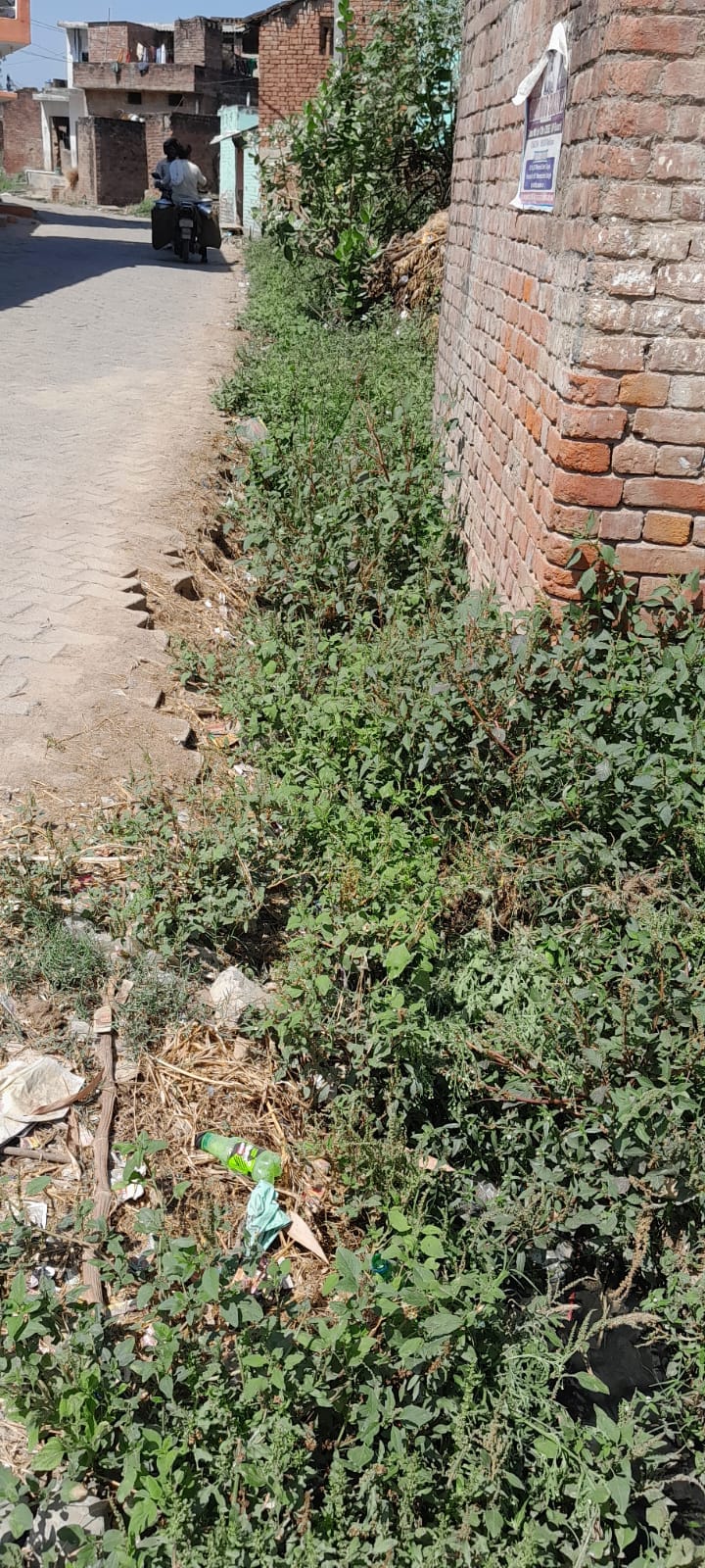 नेवादा ब्लॉक के बहुंगरा गांव में बज बजाती नालियां।संवाद नेवादा ब्लॉक के बहुंगरा गांव में बज बजाती नालियां।संवाद