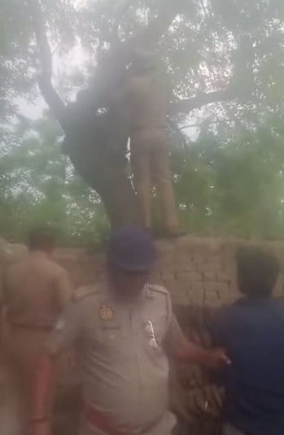 राजकीय मेडिकल कॉलेज में भर्ती मरीज को देखते डॉक्टर। स्रोत: सोशल मीडिया