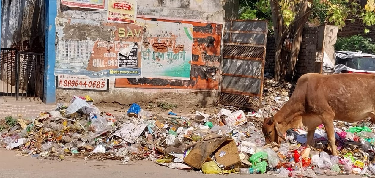 रेवाड़ी। नाईवाली चौक के पास कूड़े के डस्टबिन के बाद पड़ा कूड़ा। संवाद