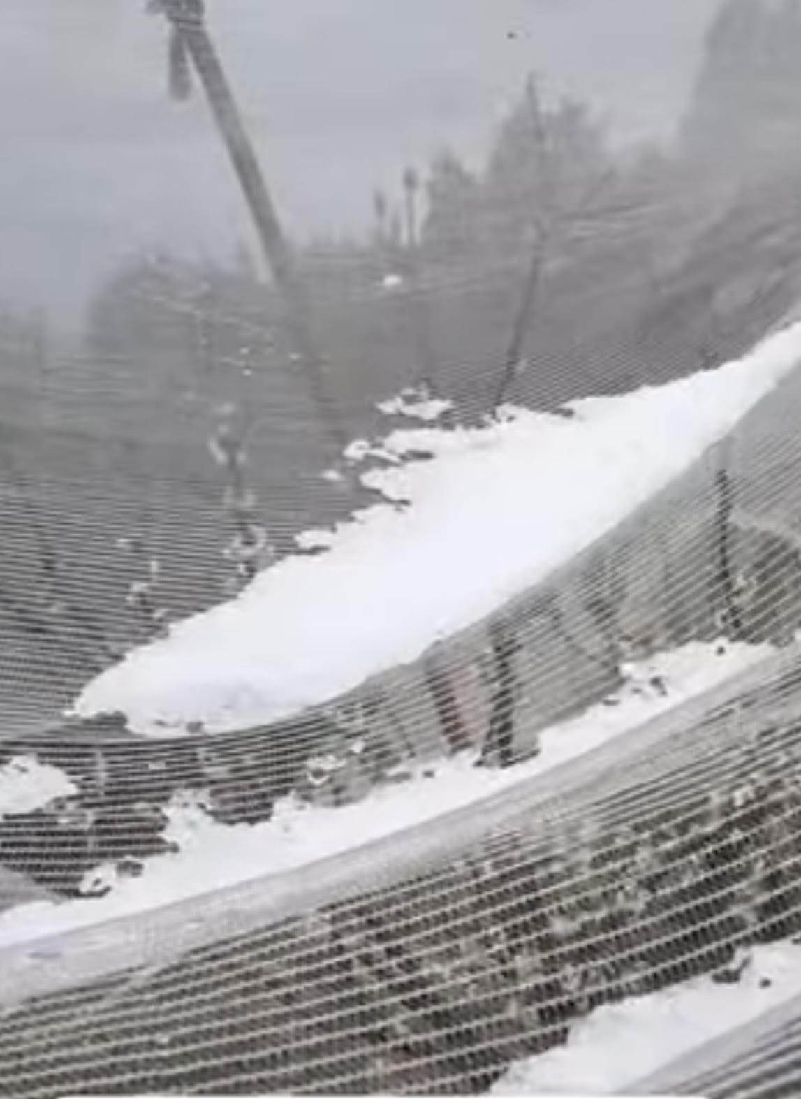 आनी क्षेत्र के बागवानों के राहत बनी एंटी हेलनेट। संवाद