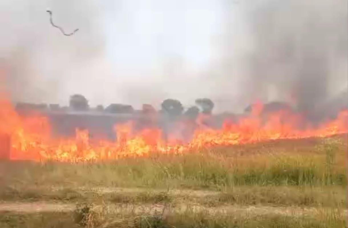 फोटो - 15 आग लगने के बाद जला पड़ा गेहूं का खेत। संवाद फोटो - 15 आग लगने के बाद जला पड़ा गेहूं का खेत। संवाद