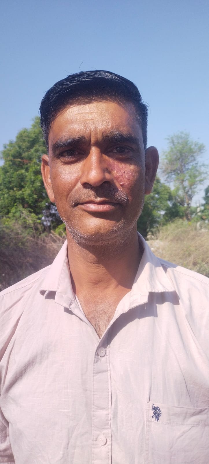 फोटो संख्या:52  किसान द्वारा  खलिहानों की बजाय ढ़ेरियों में एकत्रित की गई गेंहू की पुलिया--संवा