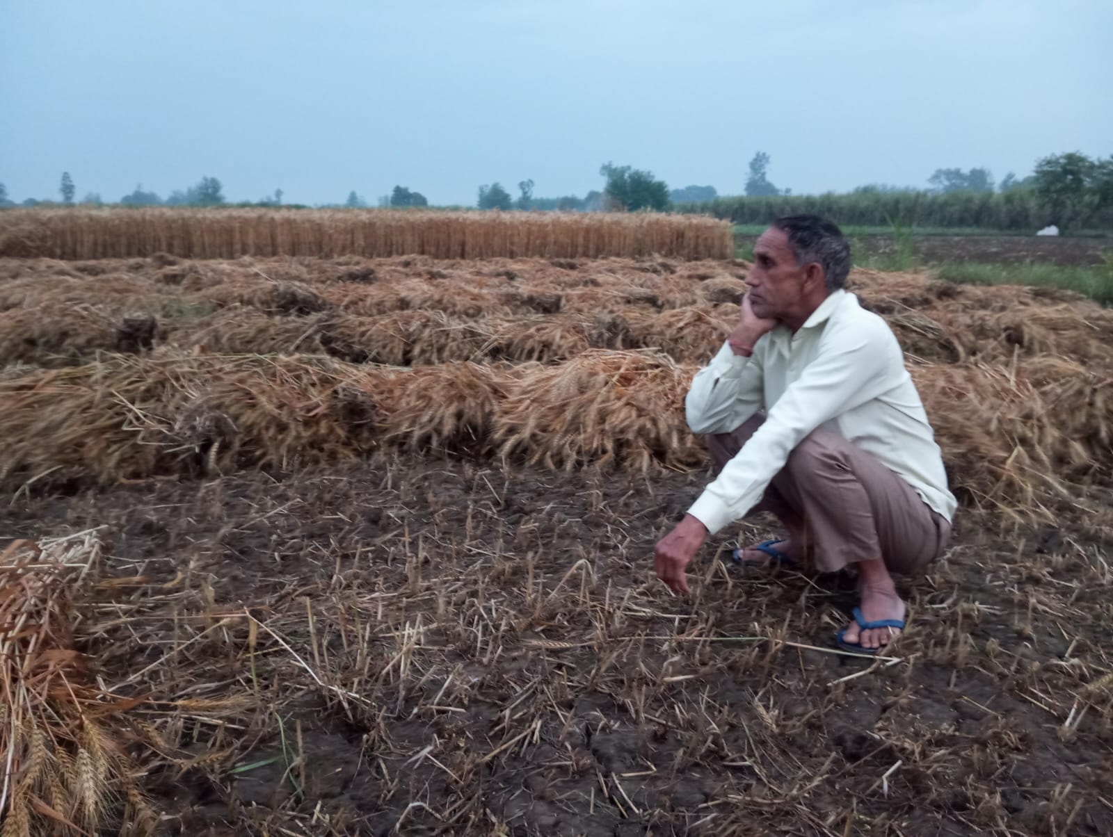 खतौली में बारिश के दौरान छाता लेकर गुजरते हुए : संवाद