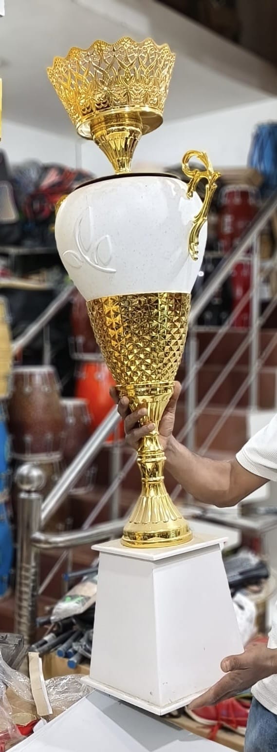 शहीद अंकेश मेमोरियल कप क्रिकेट प्रतियोगिता के तैयार होता हुआ मैदान। स्रोत: जागरूक पाठक।