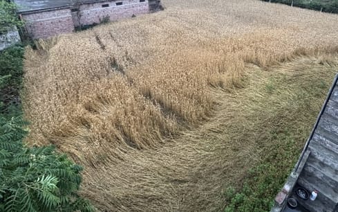 धर्मशाला में मंगलवार को दोपहर बाद बारिश के साथ अंधेरा सा छा गया। इस दौरान सड़क पर वाहनों की लाइ धर्मशाला में मंगलवार को दोपहर बाद बारिश के साथ अंधेरा सा छा गया। इस दौरान सड़क पर वाहनों की लाइ