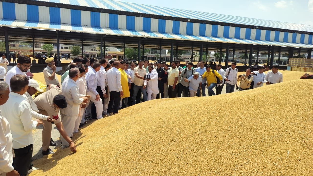09जेएनडी08: मंडी में गेहूं की एक ढेरी के दो परिणाम दिखाते हुए वेयर हाउस व मार्केट कमेटी की मशीन