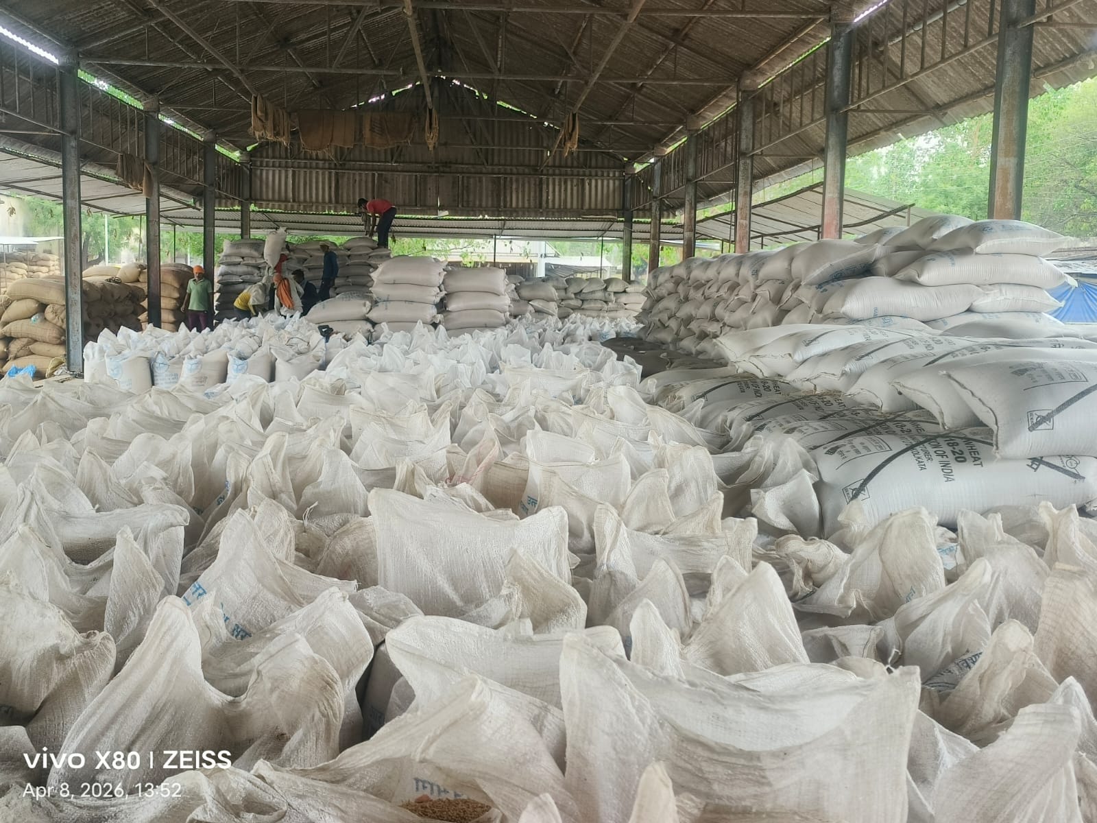 बुधवार की सुबह बारिश से मंझनपुर के ओसा मंडी के बाहर रखा गेहूं की छल्ली का ऊपरी हिस्सा भीगा। संव