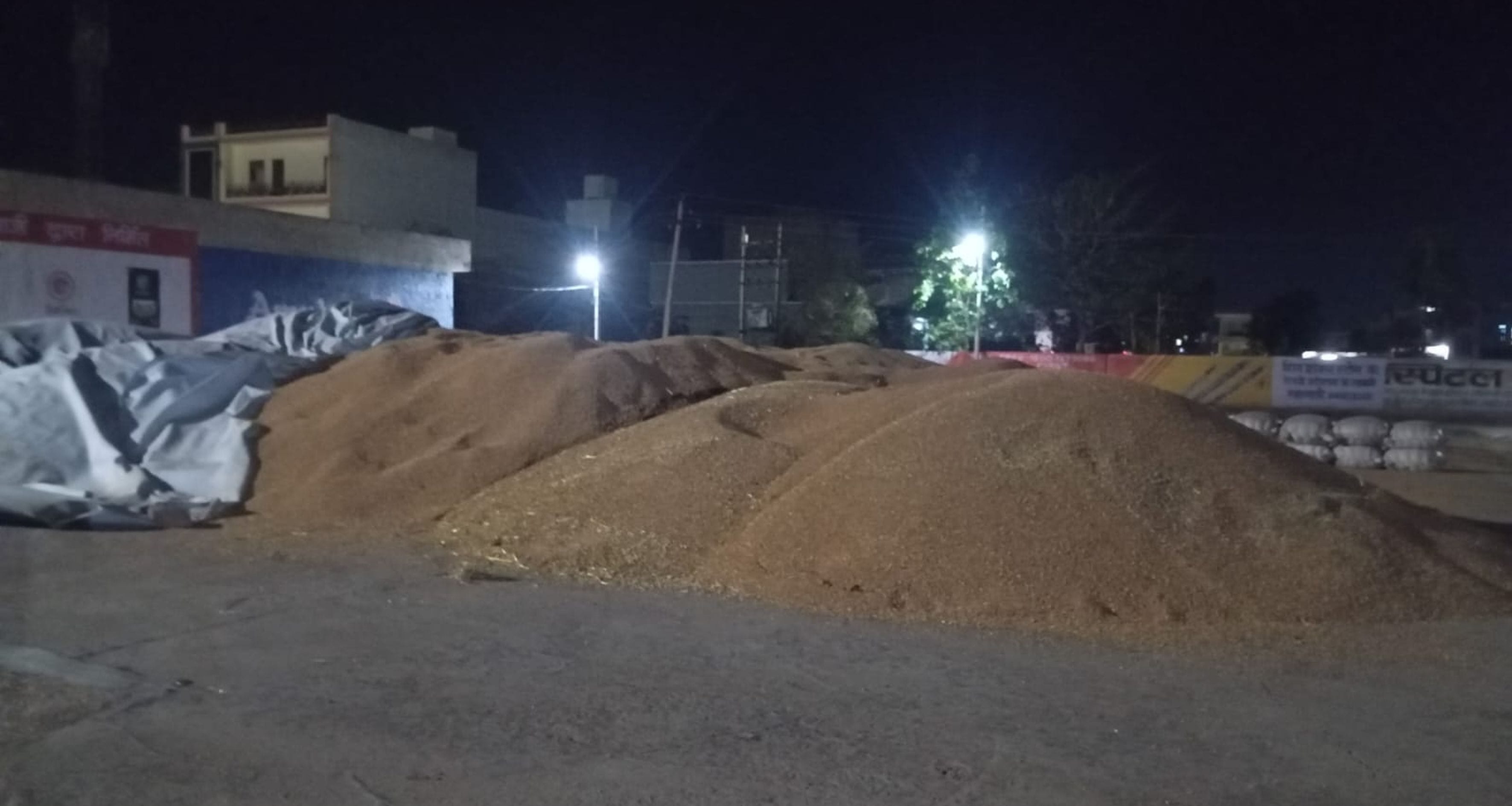 फोटो संख्या:57 कनीना मंडी में 8:20 बजे काम करते प्रवासी मजदूर। संवाद