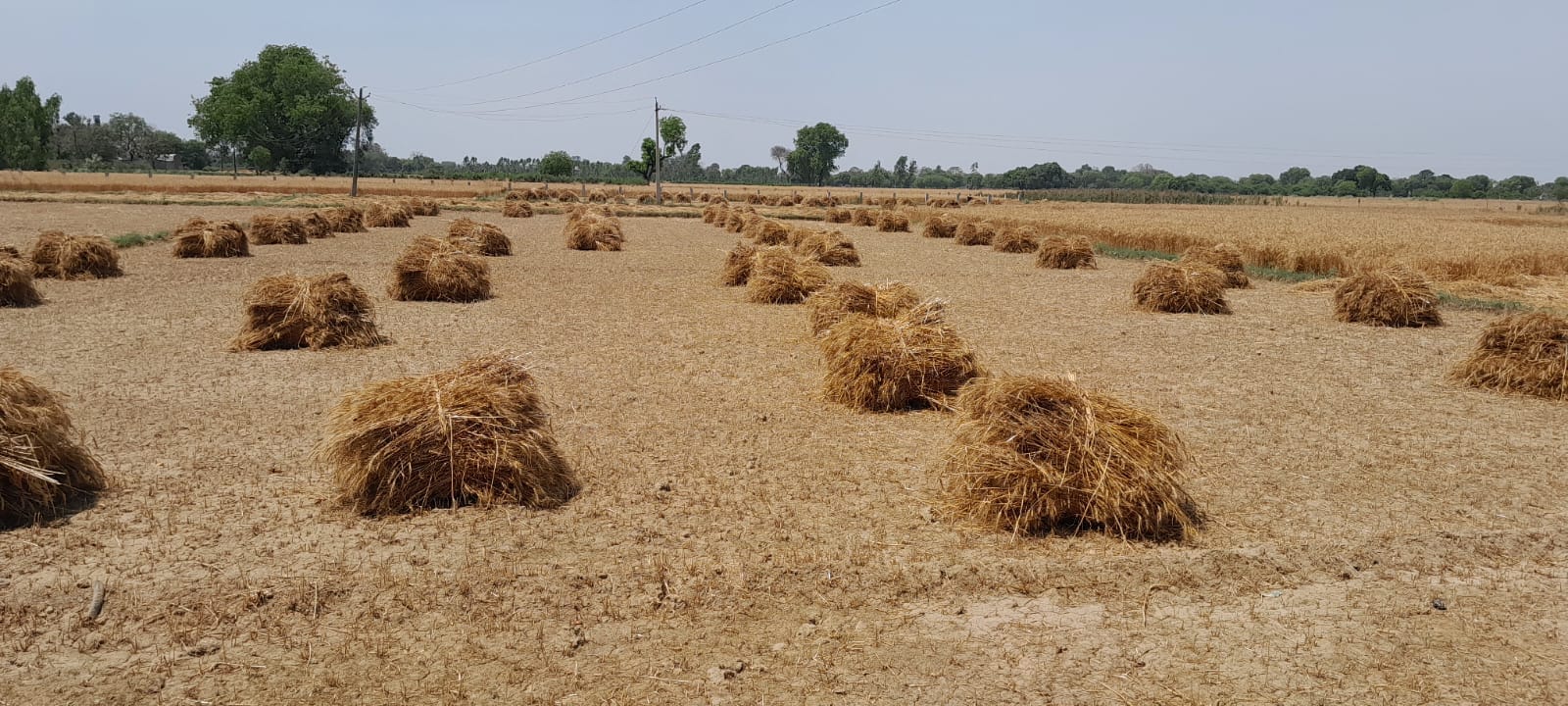 रामचंद्र सिंह