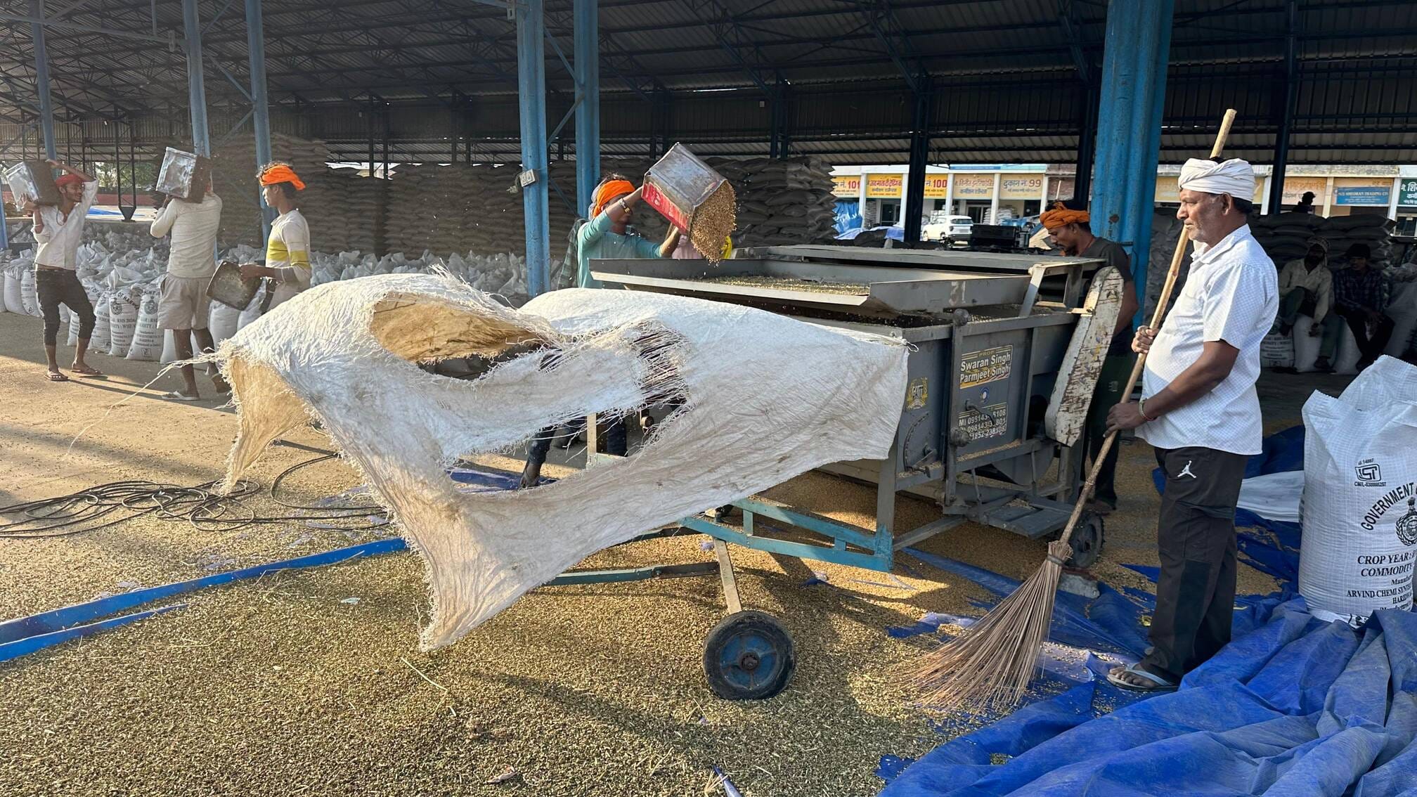 रादौर के गांव हरनौल में बारिश के दौरान बिछी गेहूं की फसल। संवाद रादौर के गांव हरनौल में बारिश के दौरान बिछी गेहूं की फसल। संवाद