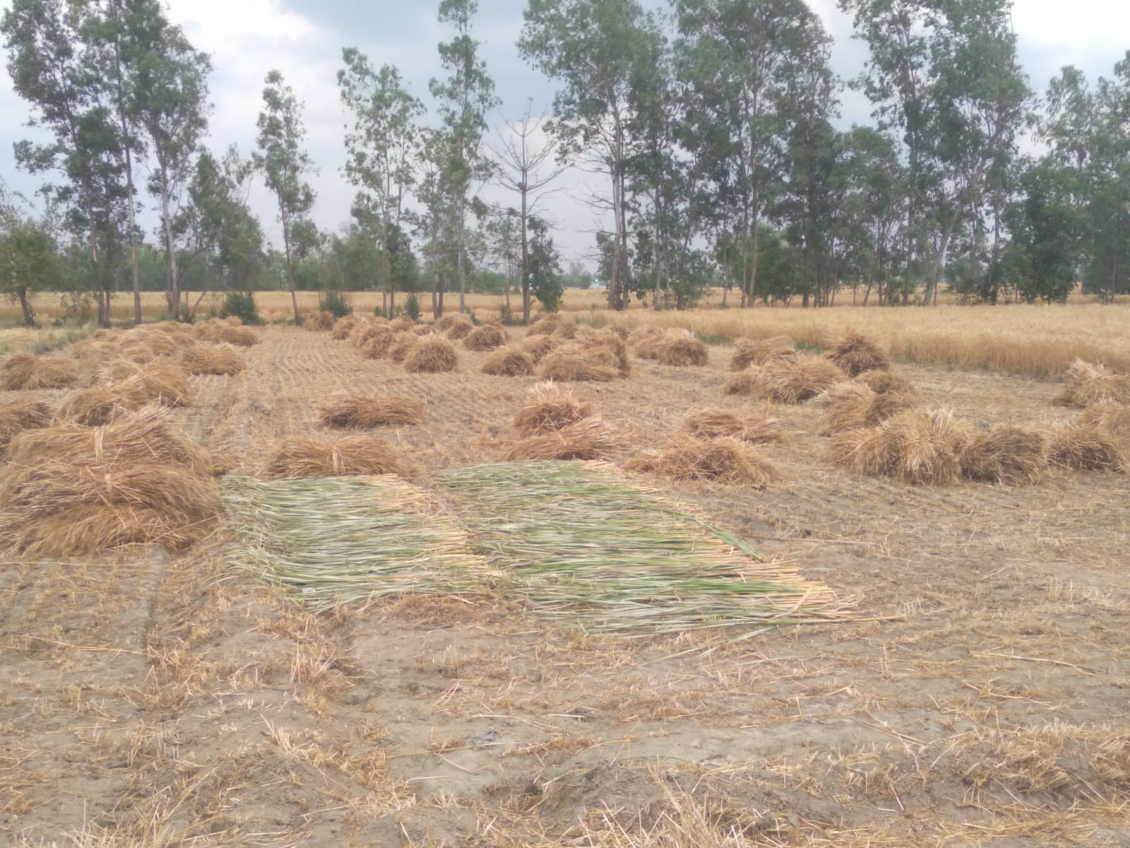 स्टेशन मार्ग पर भरे तालाब जैसे पानी से गुजरते राहगीर। संवाद