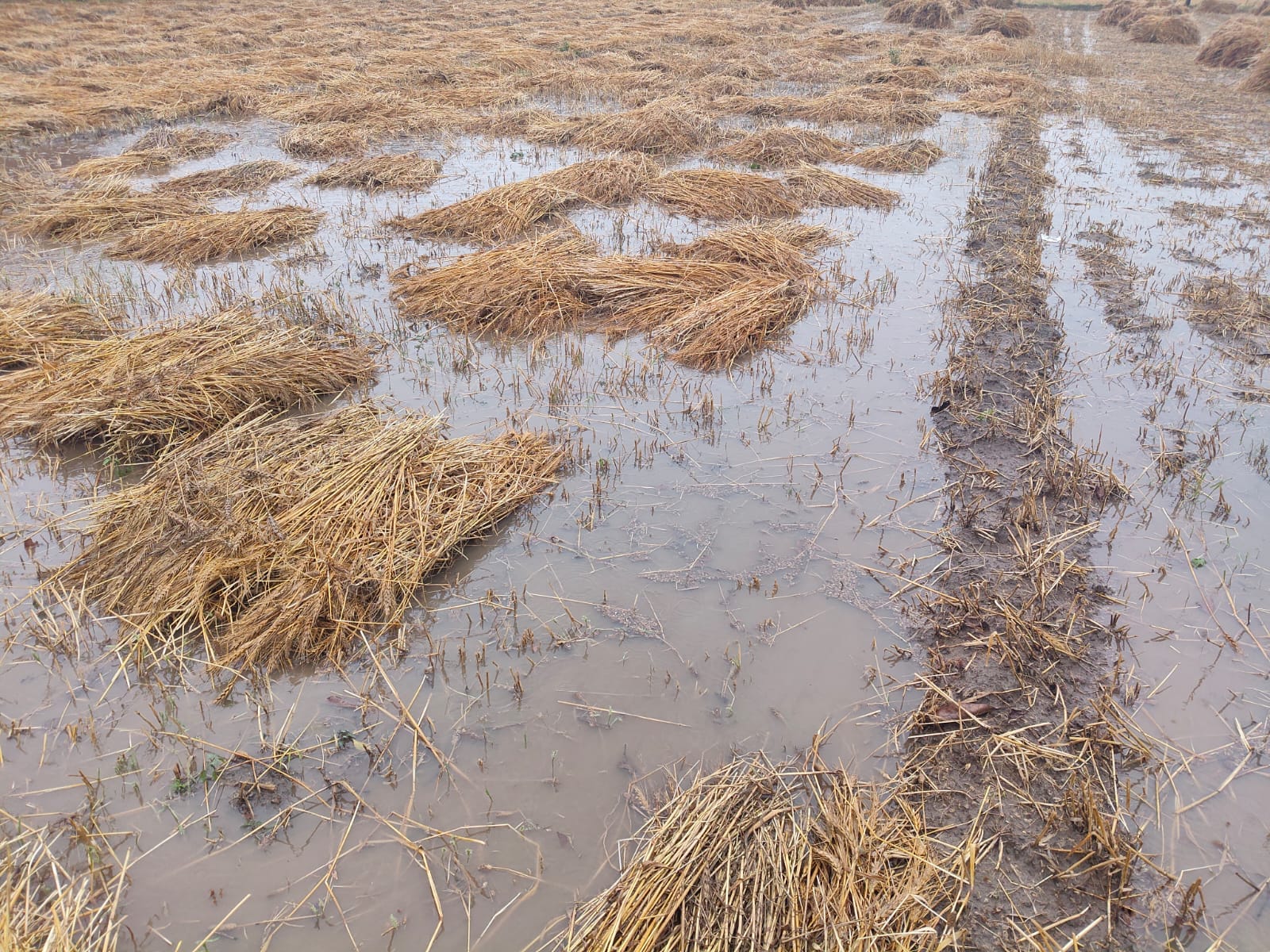 स्टेशन मार्ग पर भरे तालाब जैसे पानी से गुजरते राहगीर। संवाद