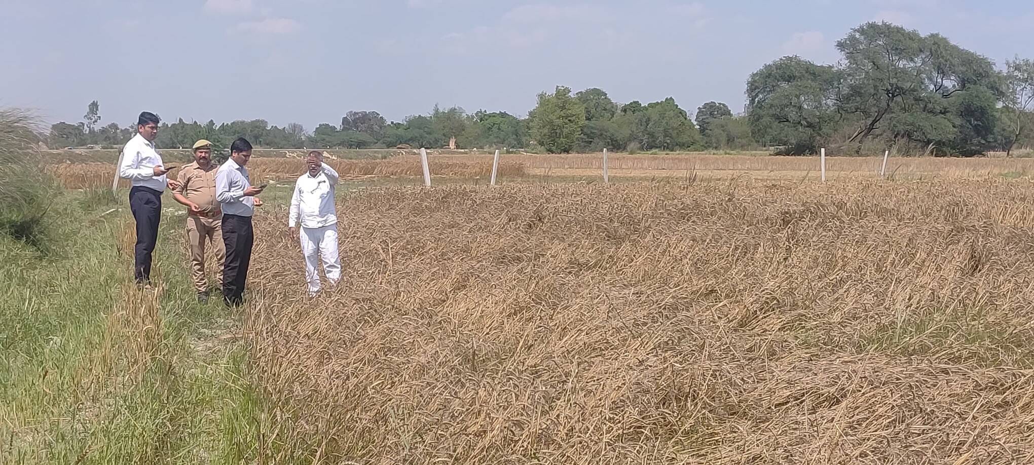 फसलों के नुकसान का निरीक्षण करते एसडीएम मोहनलालगंज फसलों के नुकसान का निरीक्षण करते एसडीएम मोहनलालगंज
