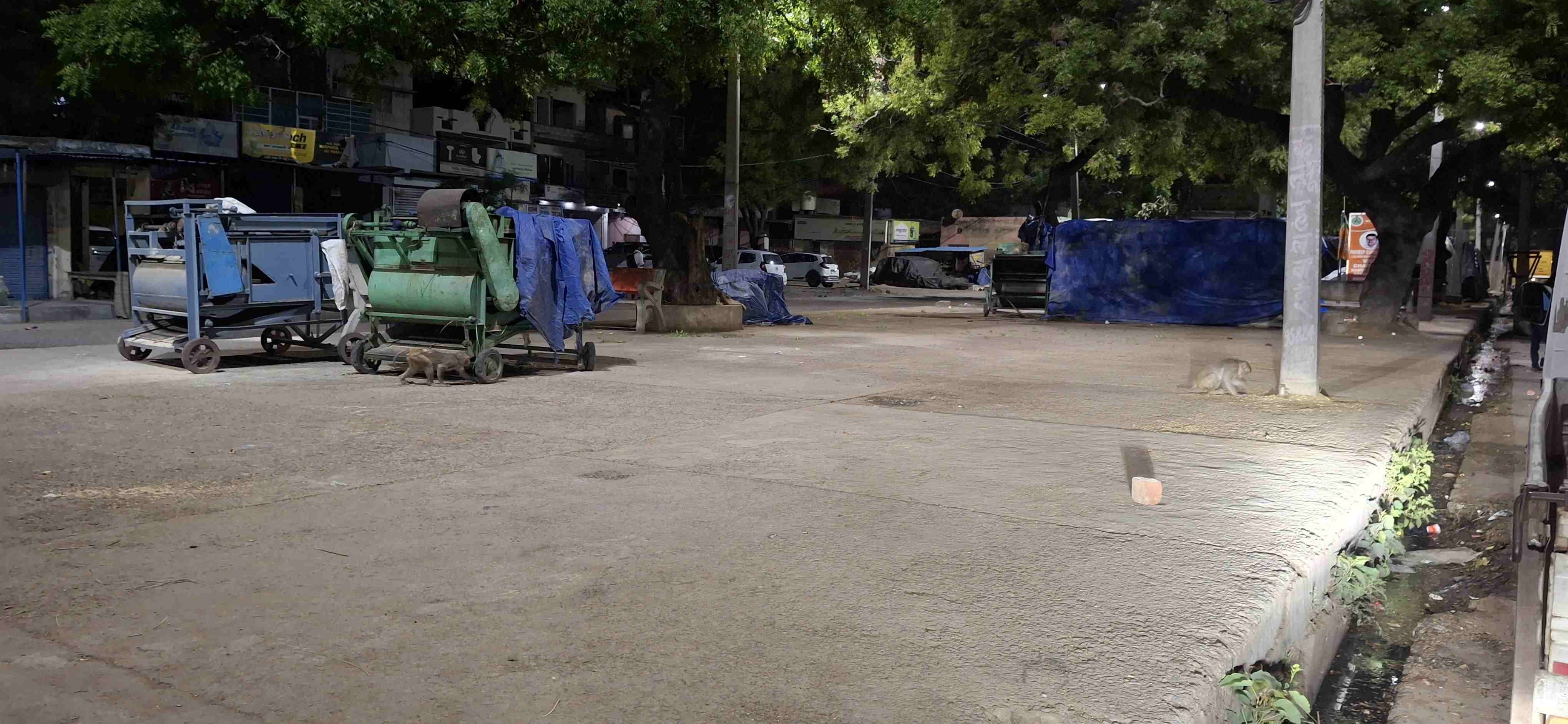 -फोटो 85 : बुधवार रात पौने 9 बजे! अनाज मंडी में गेहूं के कट्टों को तिरपाल से ढका गया। संवाद