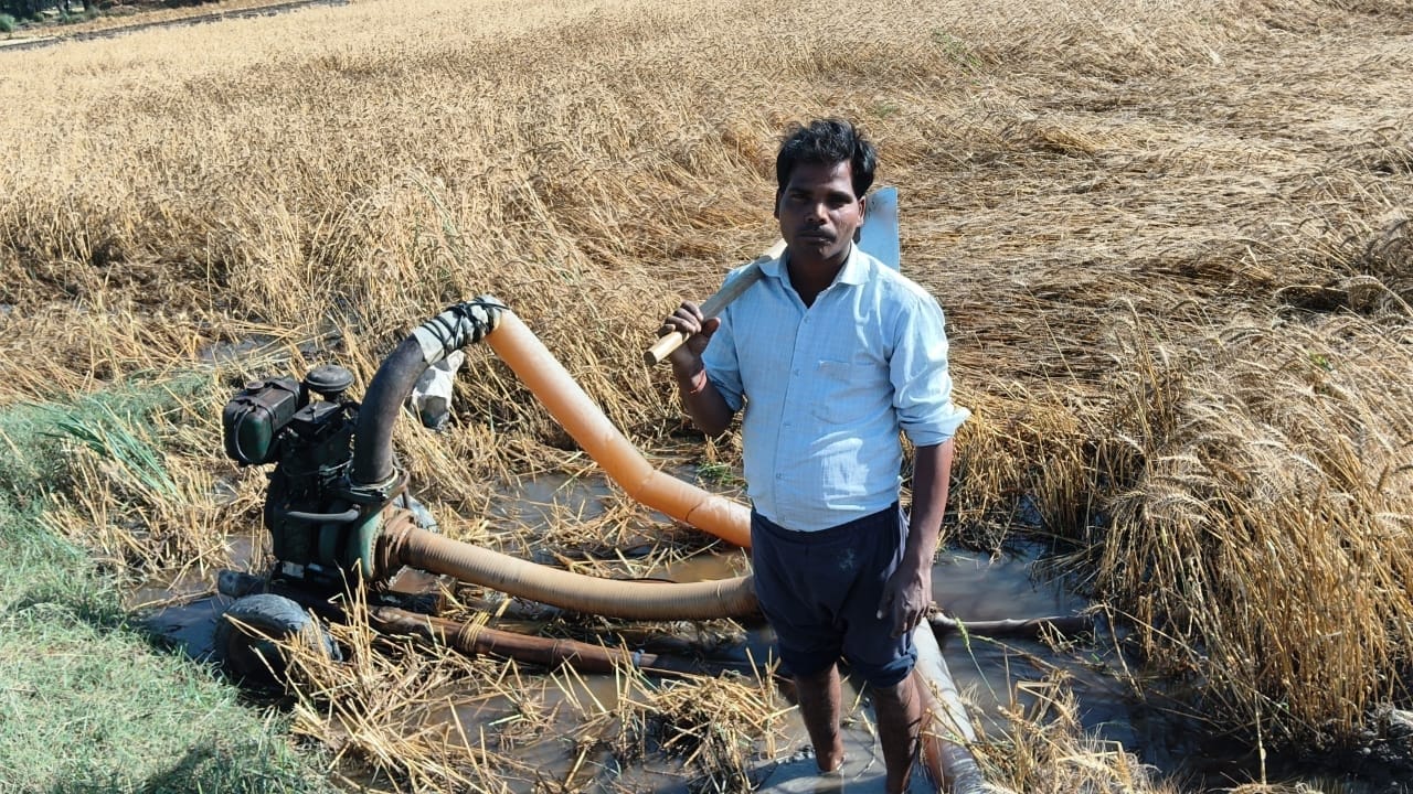 मनेन्दर सिंह