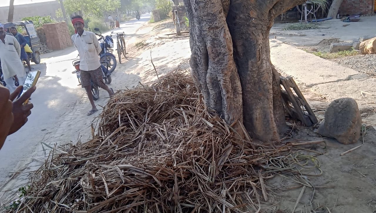 मृतक रोशन कुमार की फाइल फोटो। संवाद