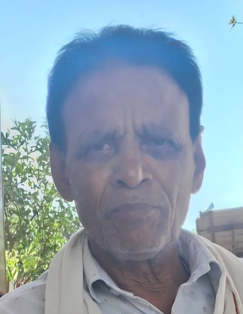 फोटो-7 आम के पेड़ की डालियों पर लगे आम। संवाद