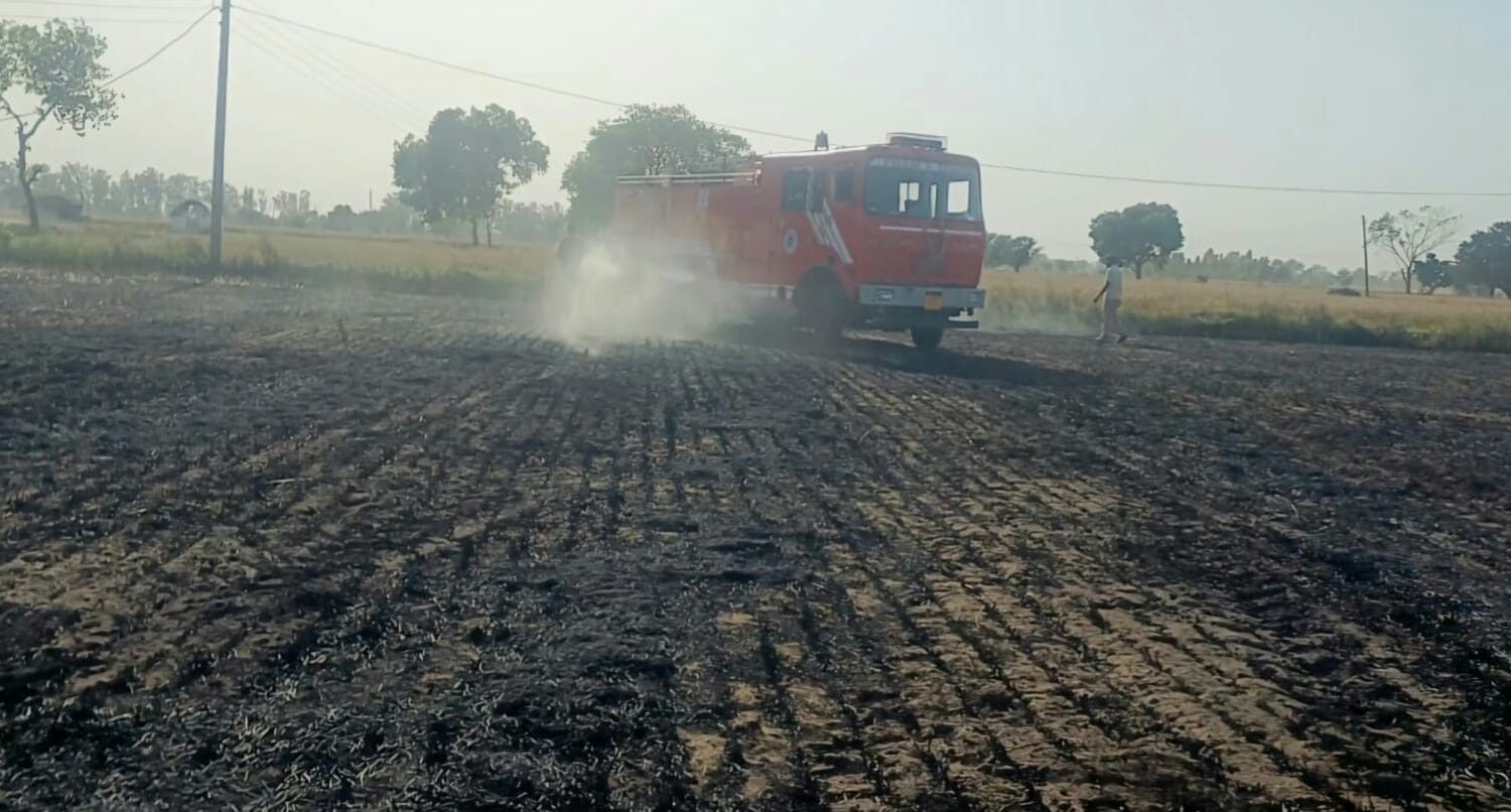 गेहूं के खेतों में लगी आग। संवाद