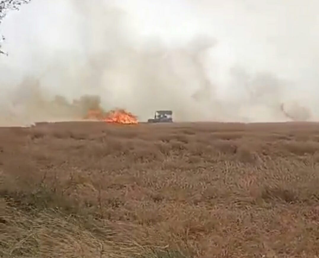 गेहूं के खेतों में लगी आग। संवाद