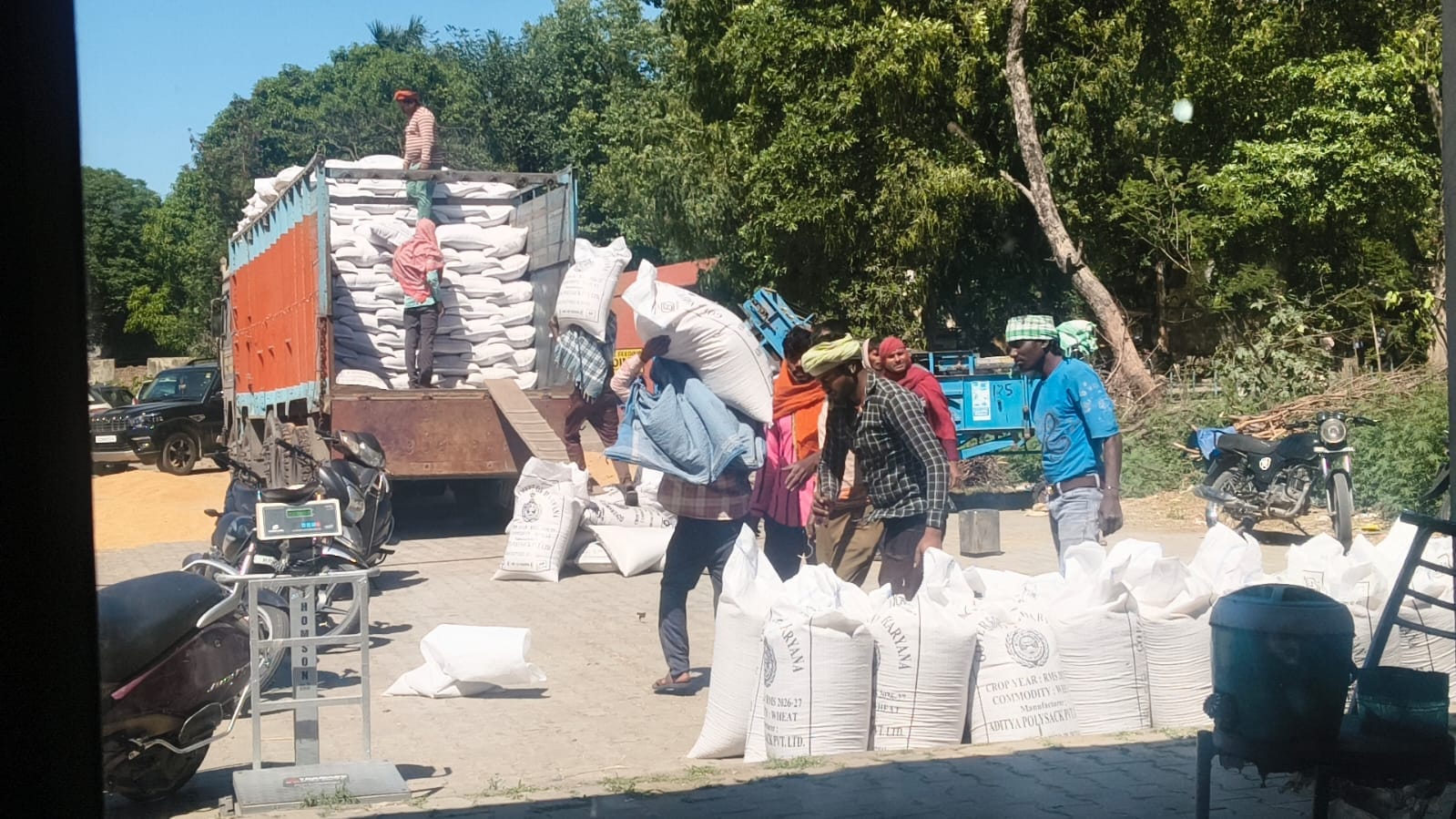 जगाधरी अनाज मंडी में ट्रक में गेहूं की बोरियों को लादते मजदूर। संवाद जगाधरी अनाज मंडी में ट्रक में गेहूं की बोरियों को लादते मजदूर। संवाद