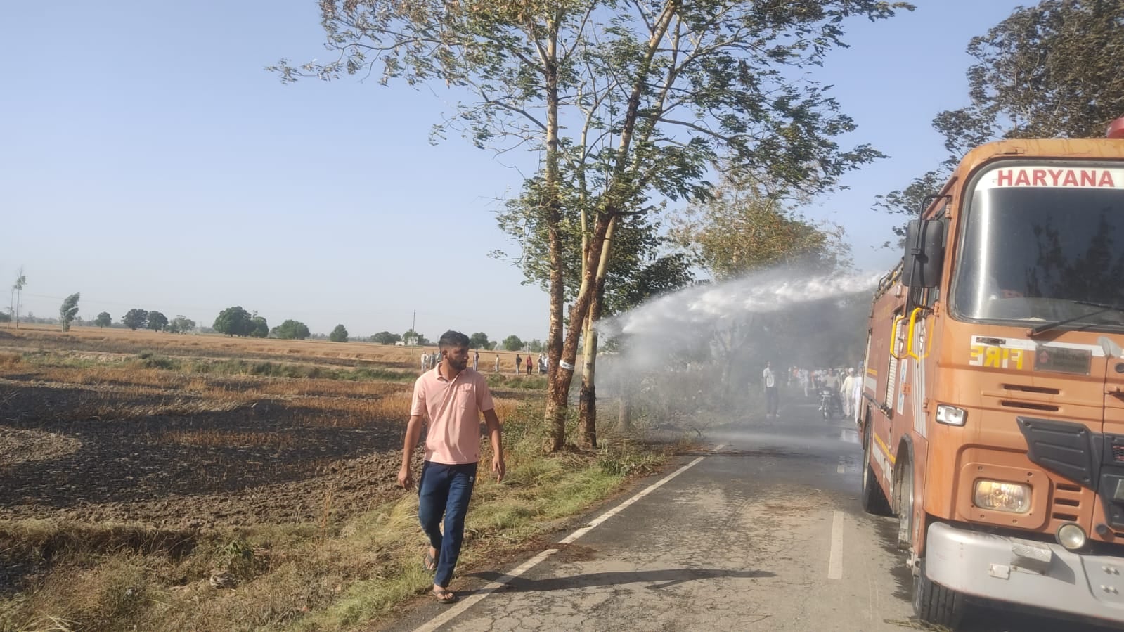 खेतों में पड़ी फसल की राख। संवाद खेतों में पड़ी फसल की राख। संवाद