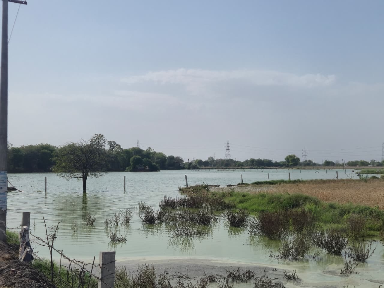 राजकुमार, सरपंच, गांव खलियावास।