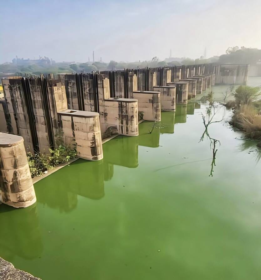 राजकुमार, सरपंच, गांव खलियावास।