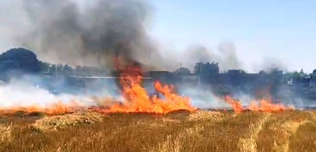 खैराबाद क्षेत्र में जलती गेहूं की फसल व बुझाने का प्रयास करते ग्रामीण।  संवाद