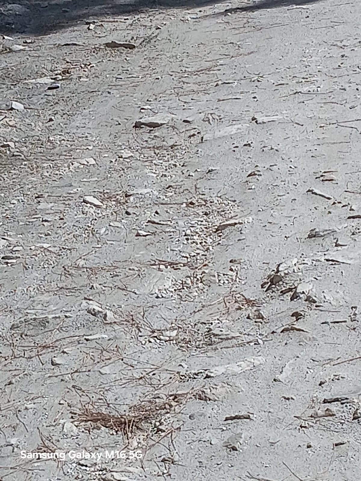 पशाडा कैंची-सुंडा सडक़ से उखड़ी टारिंग, यात्री रोजाना झेल रहे दिक्कतें। संवाद