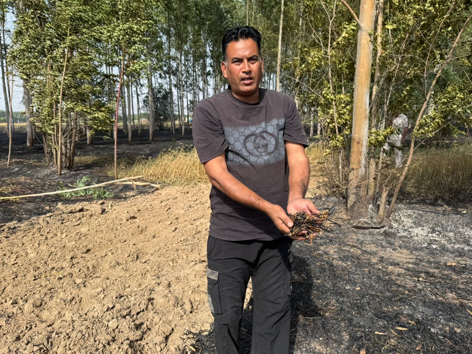 साहा में खेतों में लगी आग। संवाद