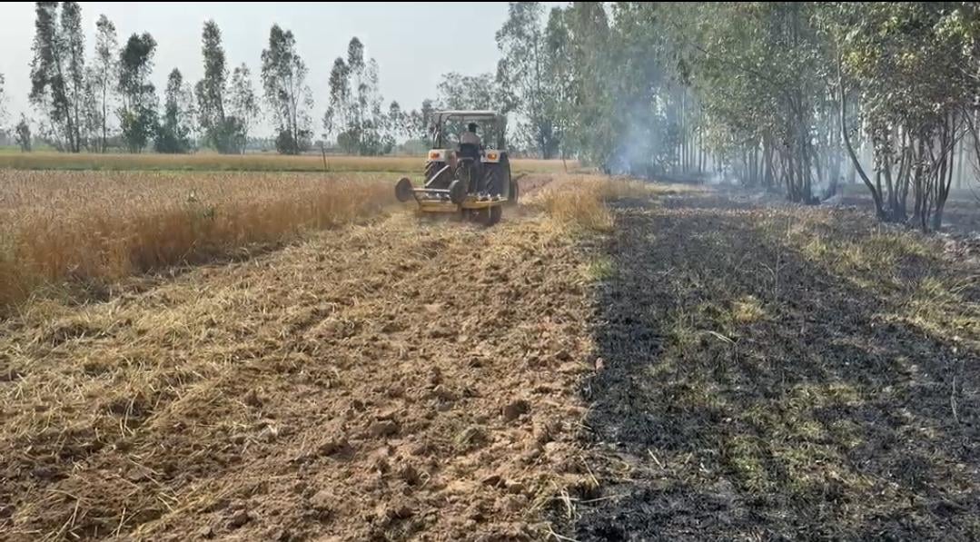 साहा में खेतों में लगी आग। संवाद